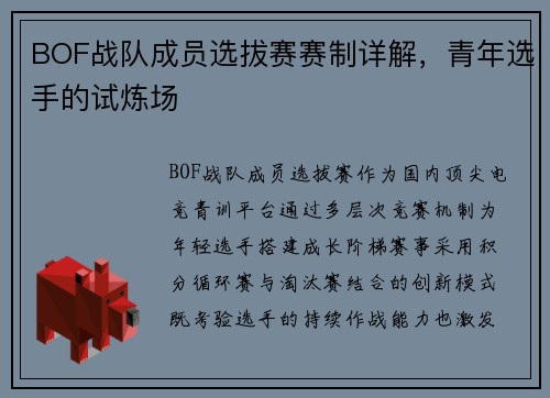 BOF战队成员选拔赛赛制详解，青年选手的试炼场
