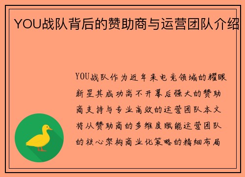 YOU战队背后的赞助商与运营团队介绍
